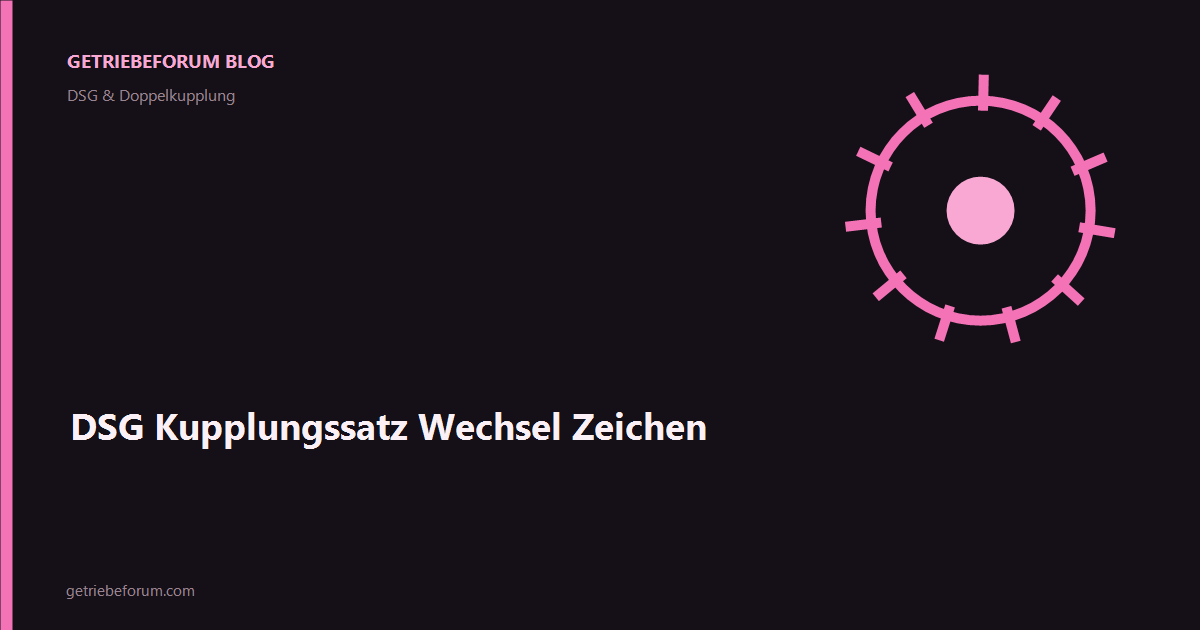 DSG Kupplungssatz Wechsel Zeichen