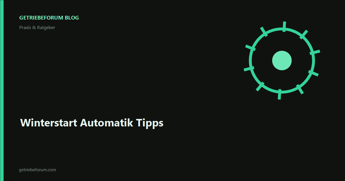 Winterstart Automatik Tipps